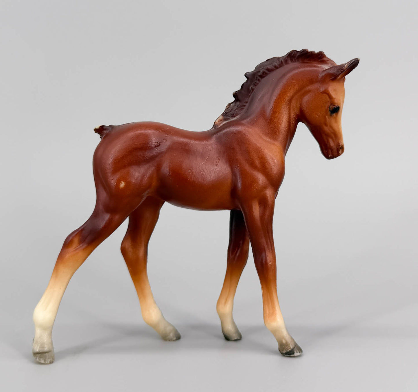 Arabian Foal, Chestnut (Body)