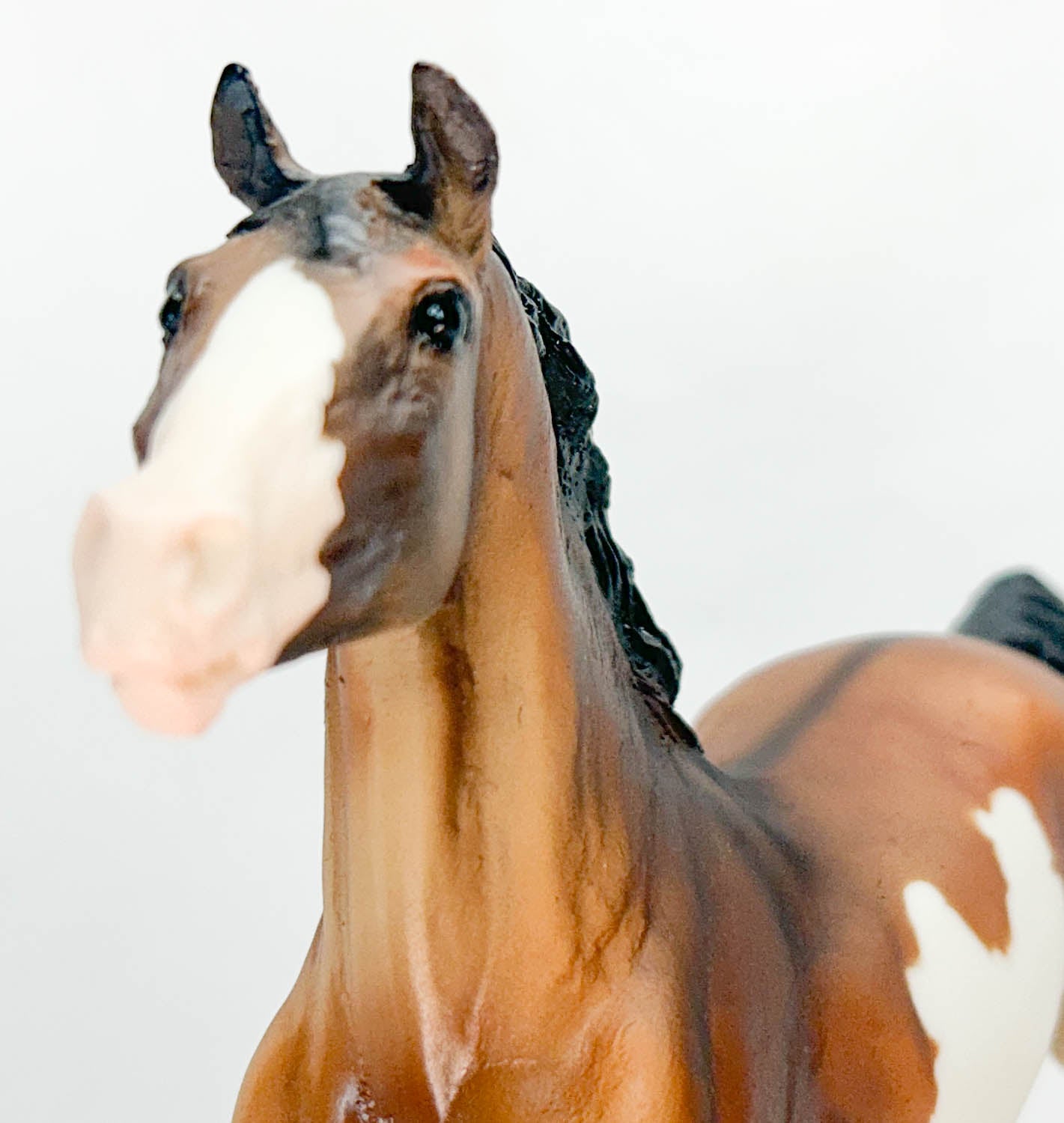 Black Beauty ~ Aguila - Walmart SR