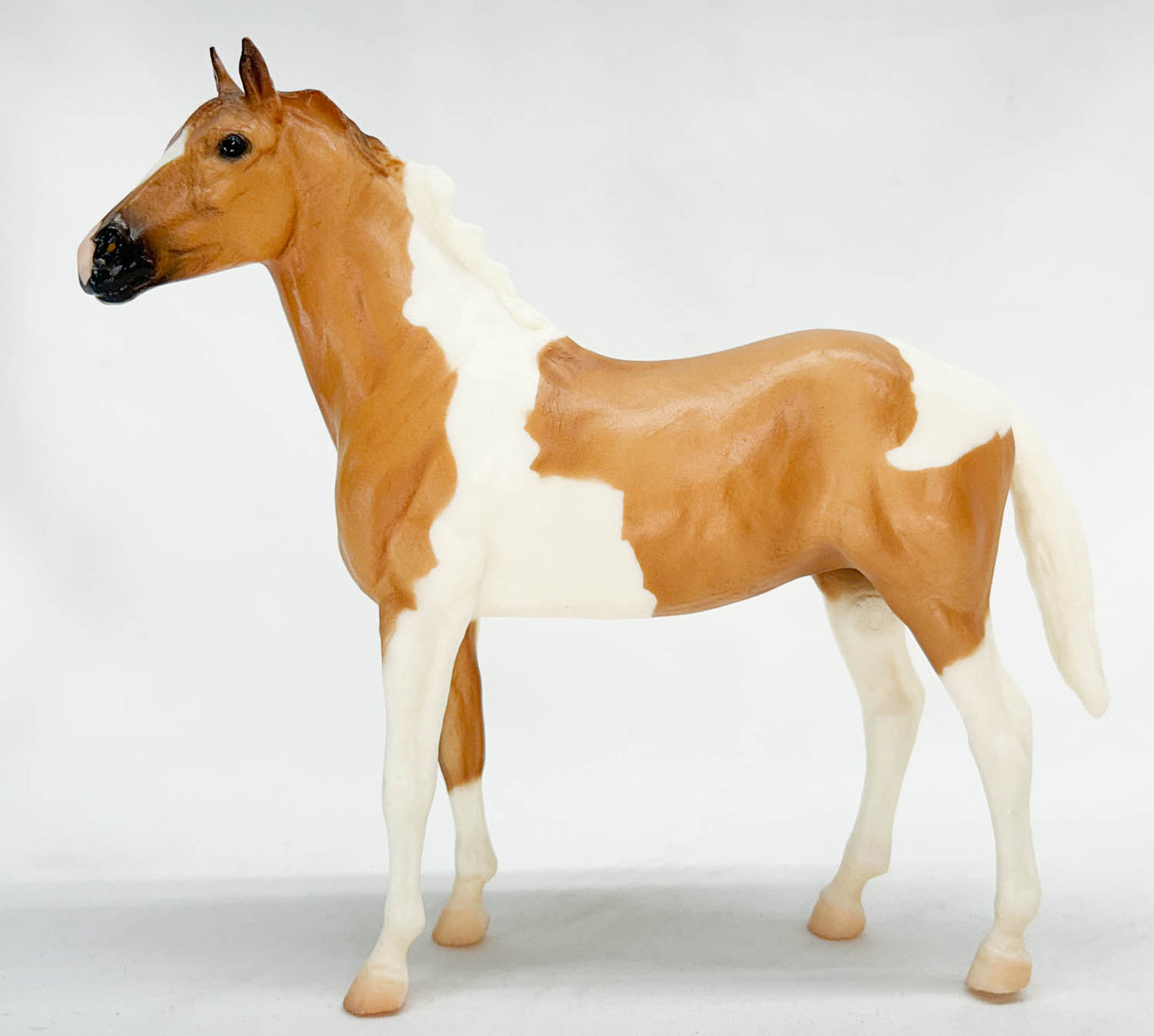 Duchess ~ Cheyenne - Walmart SR