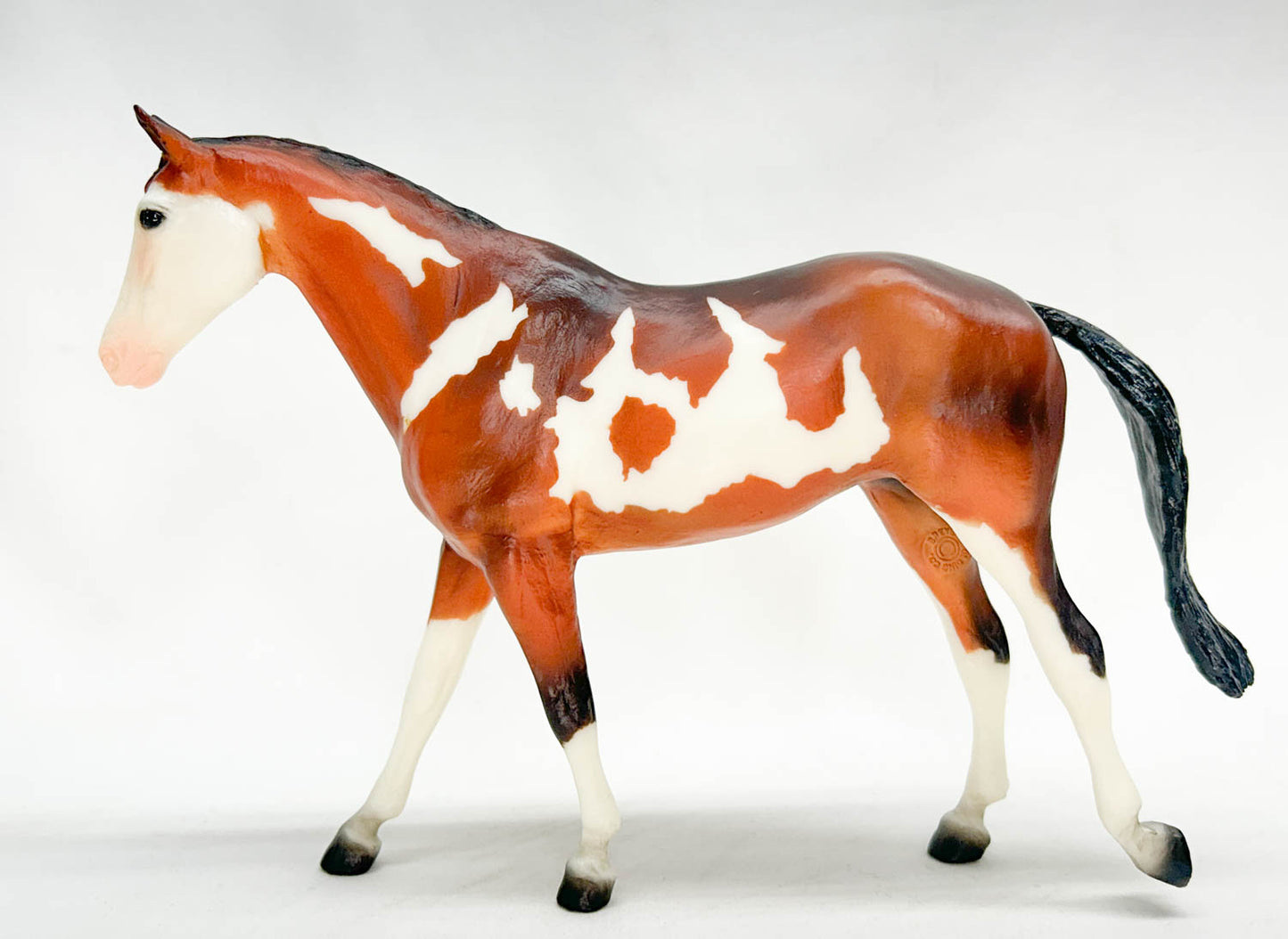 Might Tango ~ Pinto Sport Horse