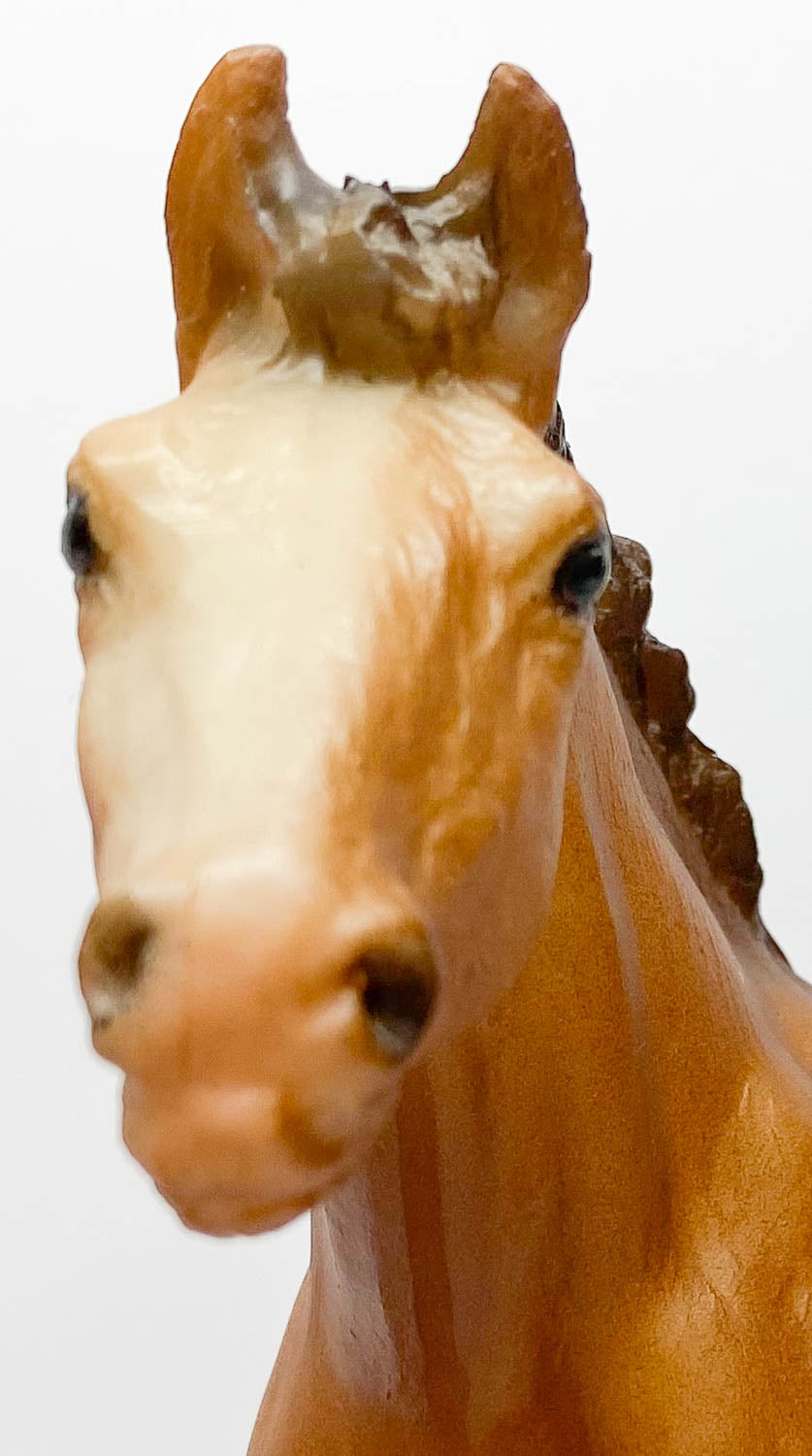 Clydesdale Foal, Chestnut w/ Cardboard Box