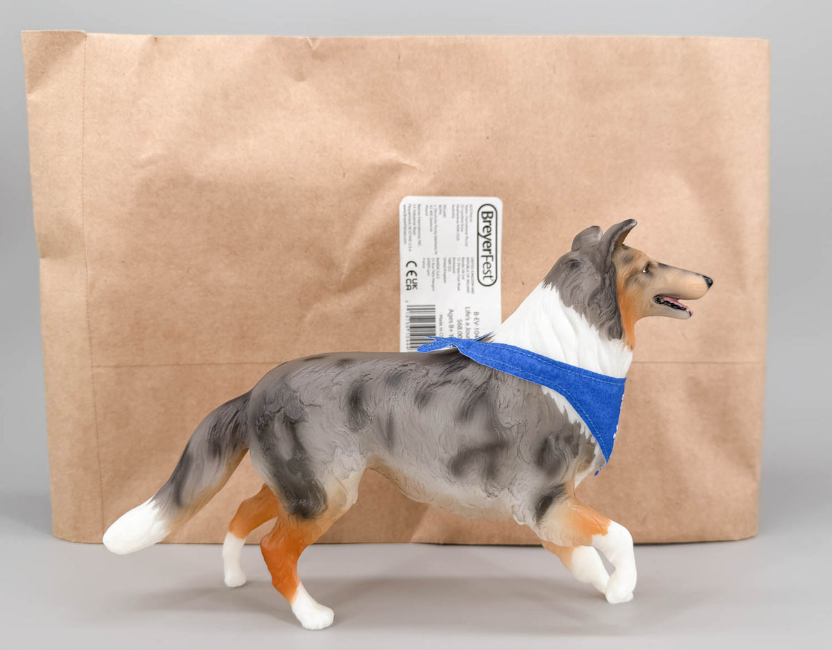 Collie ~ Life's A Journey - BreyerFest 2025 SR