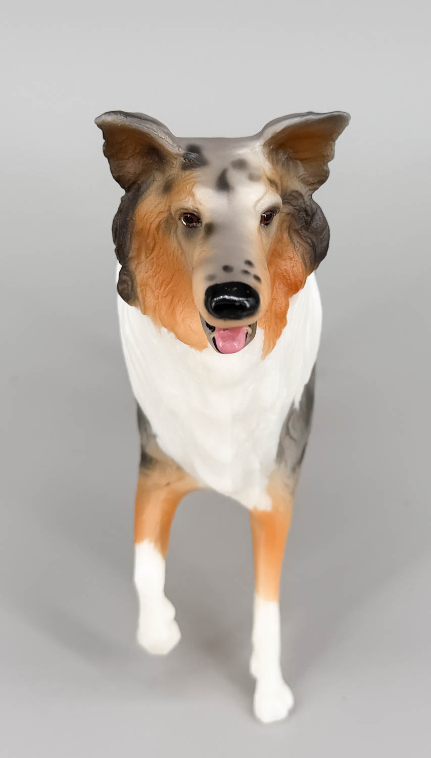 Collie ~ Life's A Journey - BreyerFest 2025 SR