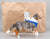Collie ~ Life's A Journey - BreyerFest 2025 SR