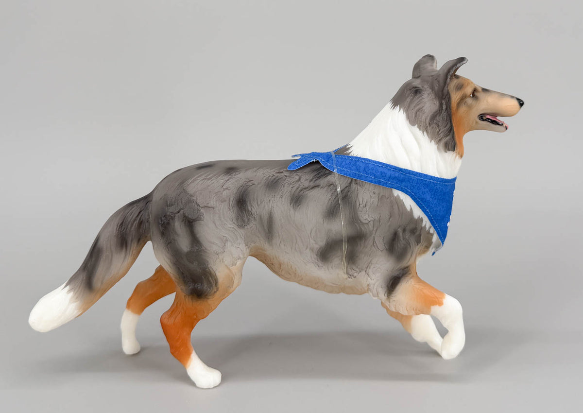 Collie ~ Life's A Journey - BreyerFest 2025 SR