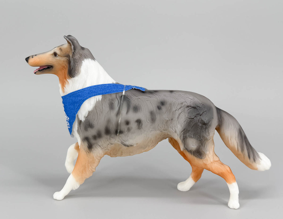 Collie ~ Life's A Journey - BreyerFest 2025 SR