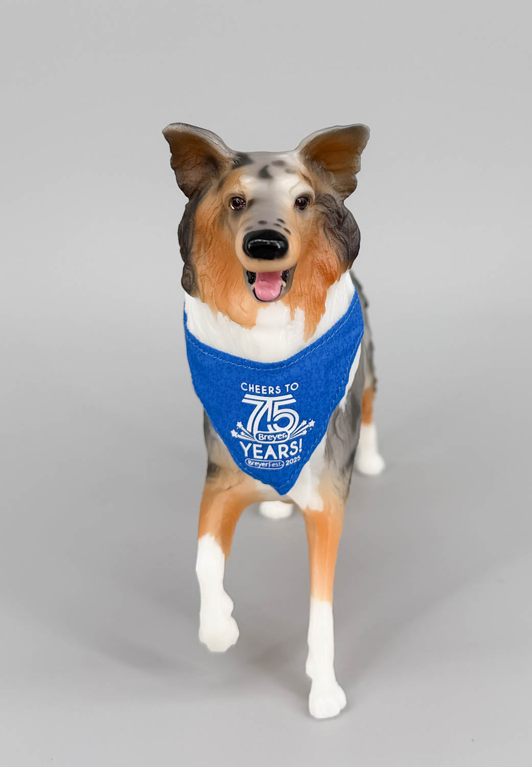 Collie ~ Life's A Journey - BreyerFest 2025 SR