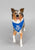 Collie ~ Life's A Journey - BreyerFest 2025 SR
