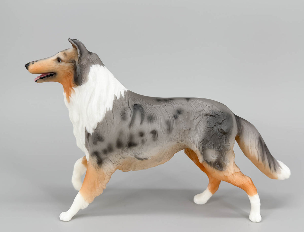 Collie ~ Life's A Journey - BreyerFest 2025 SR