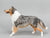 Collie ~ Life's A Journey - BreyerFest 2025 SR
