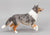 Collie ~ Life's A Journey - BreyerFest 2025 SR