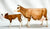Cow and Calf ~ Heidi & Edelweiss - BreyerFest 2008 SR - 750 Made
