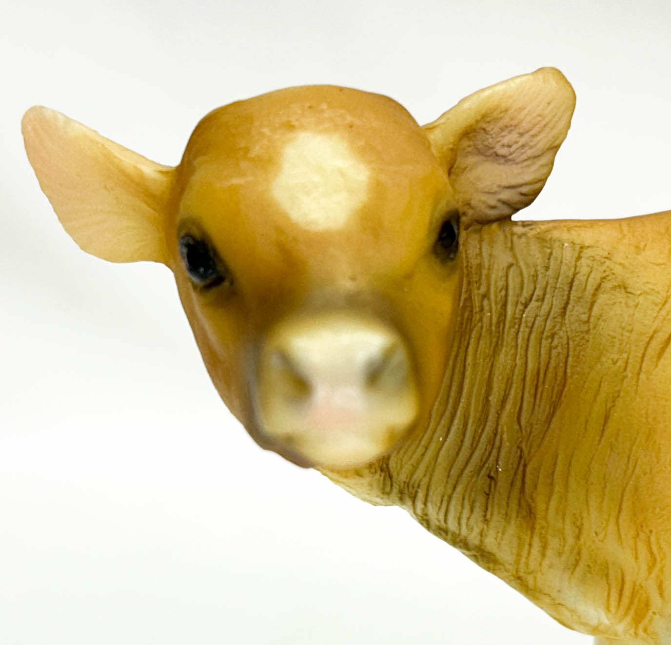 Cow (Polled) and Calf ~ Jersey Cow Family Gift Set