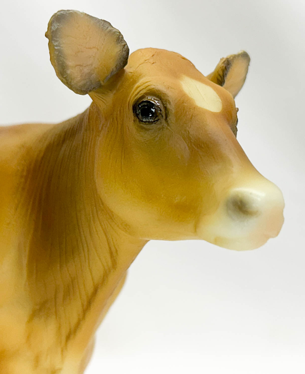 Cow (Polled) and Calf ~ Jersey Cow Family Gift Set