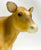 Cow (Polled) and Calf ~ Jersey Cow Family Gift Set