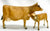 Cow (Polled) and Calf ~ Jersey Cow Family Gift Set