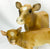 Cow (Polled) and Calf ~ Jersey Cow Family Gift Set