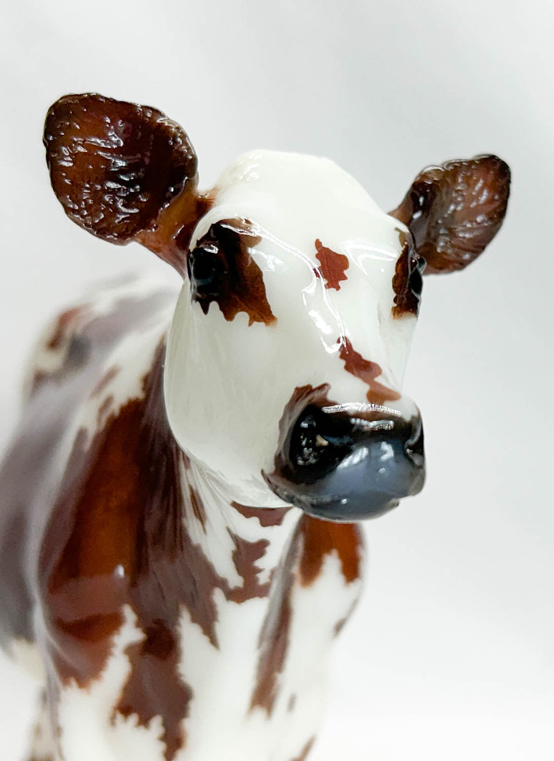 Cow ~ Elsa - 2022 Web Special