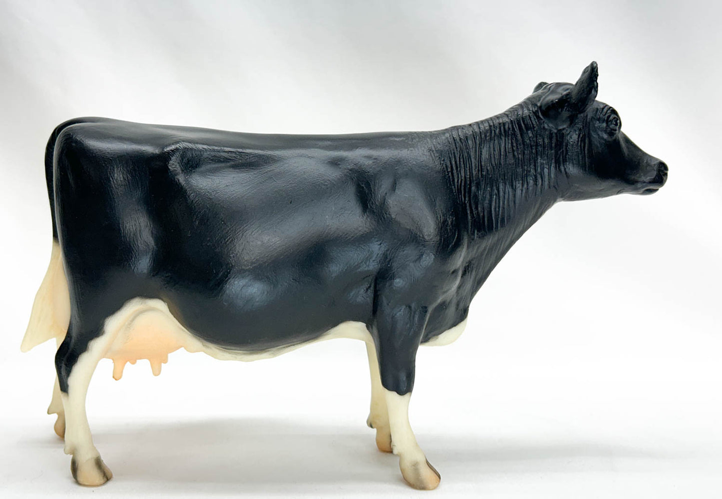 Cow, Holstein (solid coat) - Single-Year Release