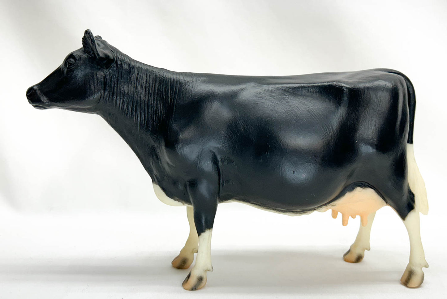 Cow, Holstein (solid coat) - Single-Year Release