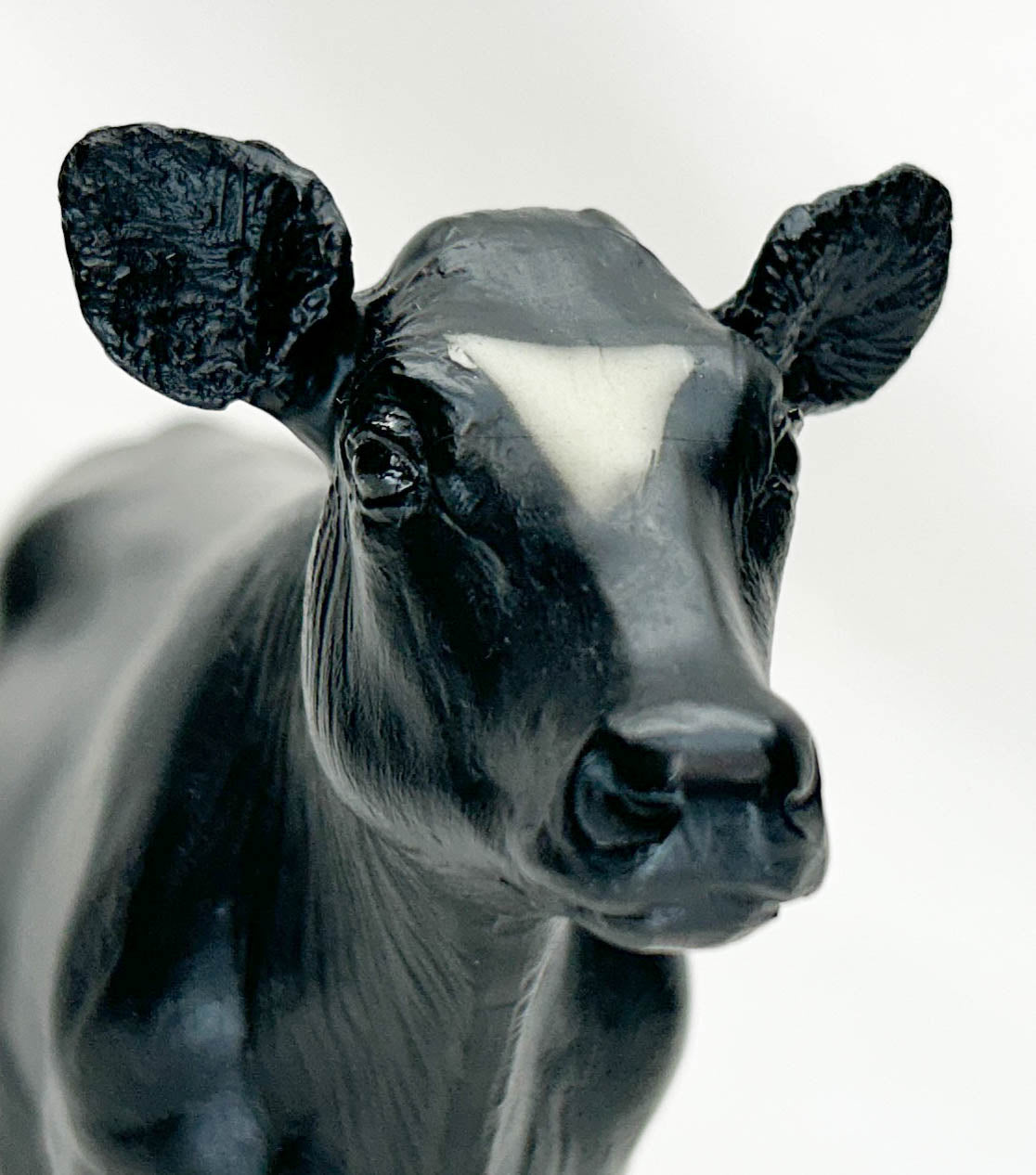 Cow, Holstein (solid coat) - Single-Year Release