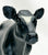 Cow, Holstein (solid coat) - Single-Year Release