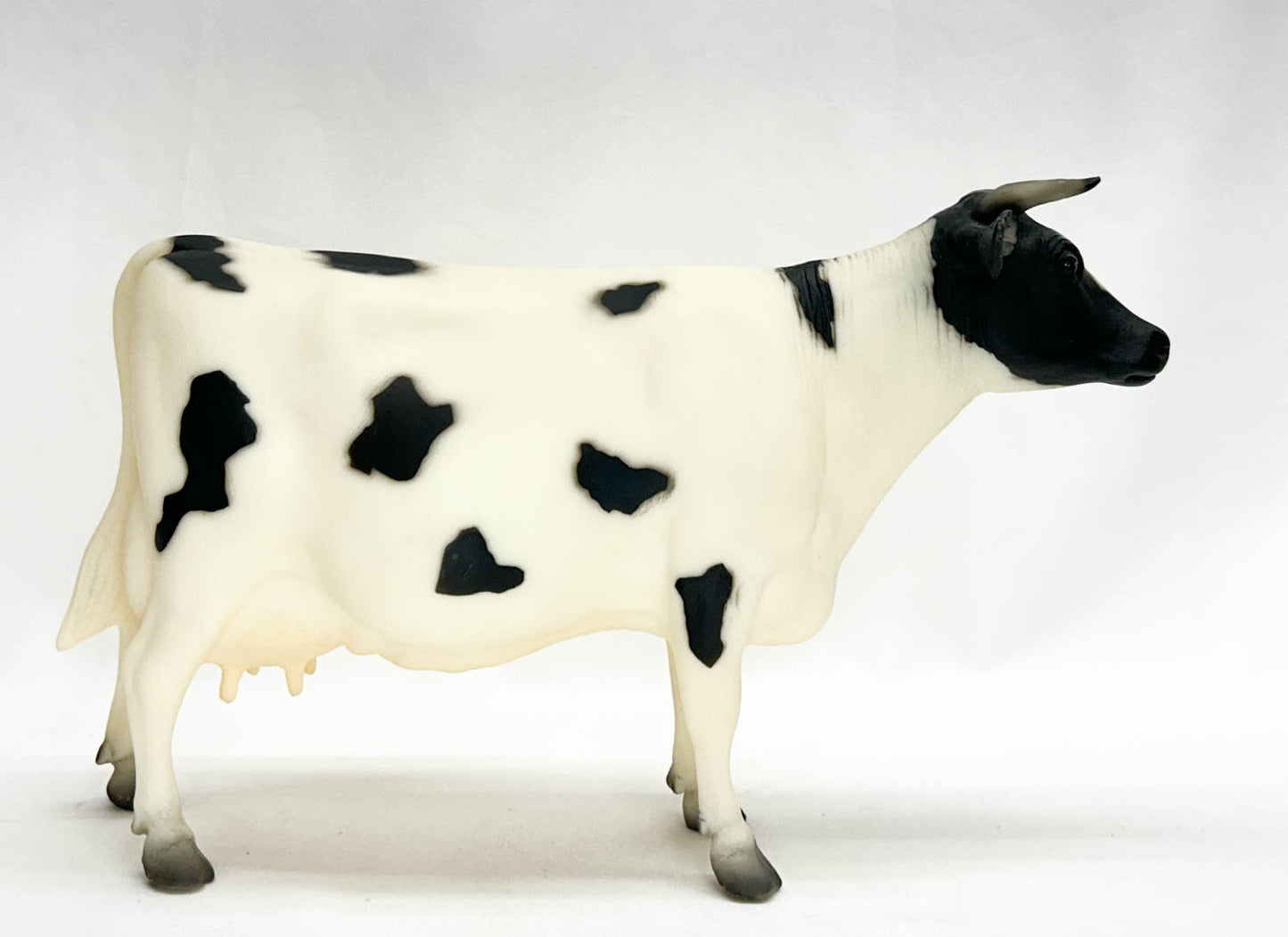 Cow, Holstein with Horns - Variation: Face Pinking