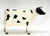 Cow, Holstein with Horns - Variation: Face Pinking