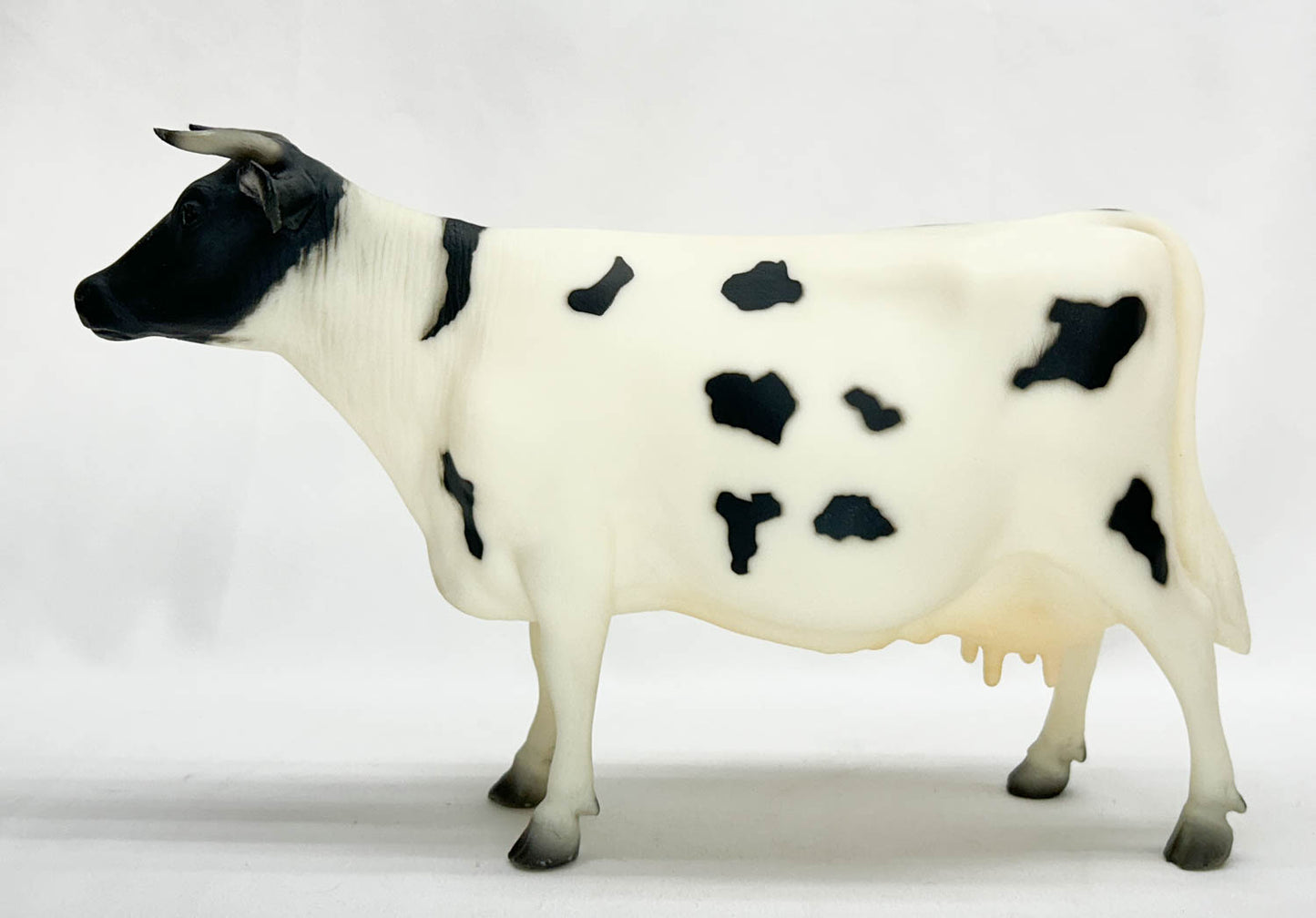 Cow, Holstein with Horns - Variation: Face Pinking