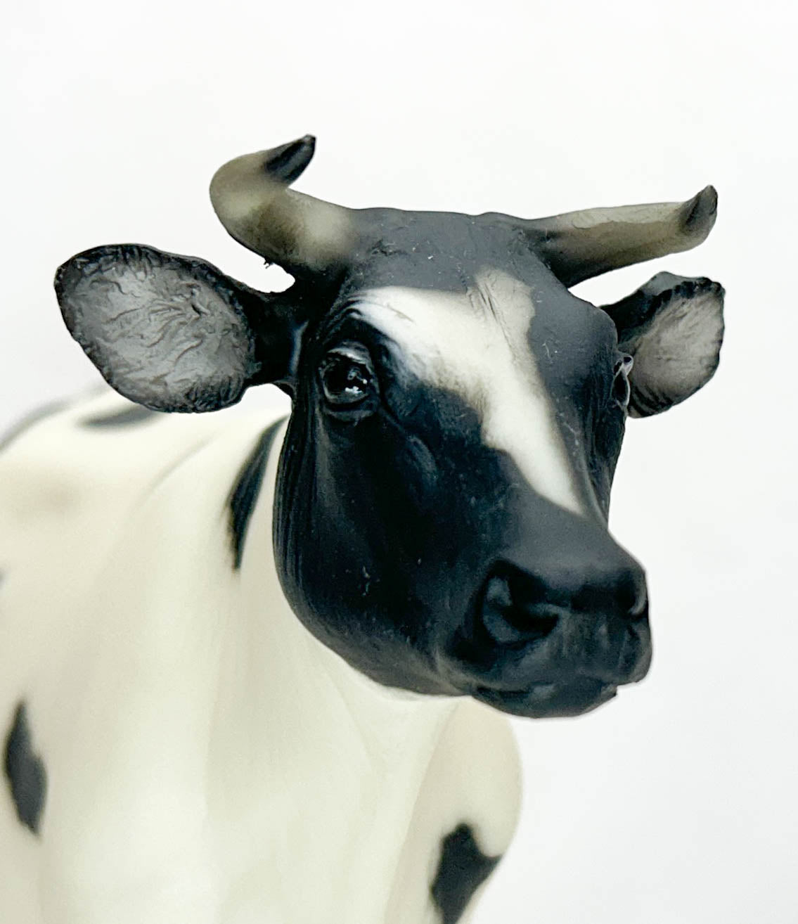 Cow, Holstein with Horns - Variation: Face Pinking