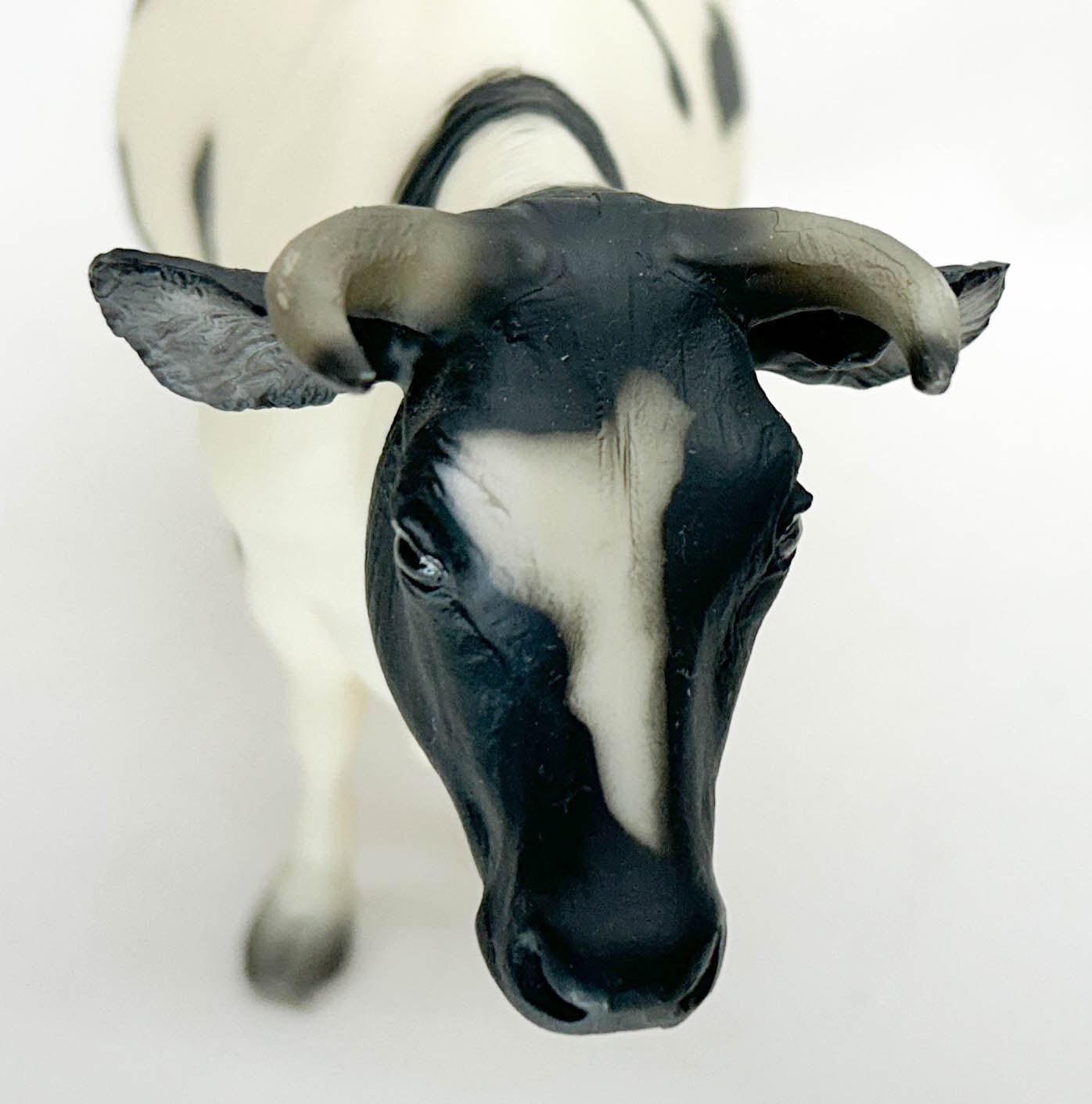 Cow, Holstein with Horns - Variation: Face Pinking