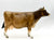 Cow, Polled Brown Swiss - Bentley Sales SR - Only 200 Made