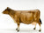 Cow, Polled Brown Swiss - Bentley Sales SR - Only 200 Made