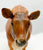Cow, Polled Jersey - Bentley Sales SR - Only 200 Made