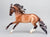 Criollo ~ Guillermo - 2026 Web Special