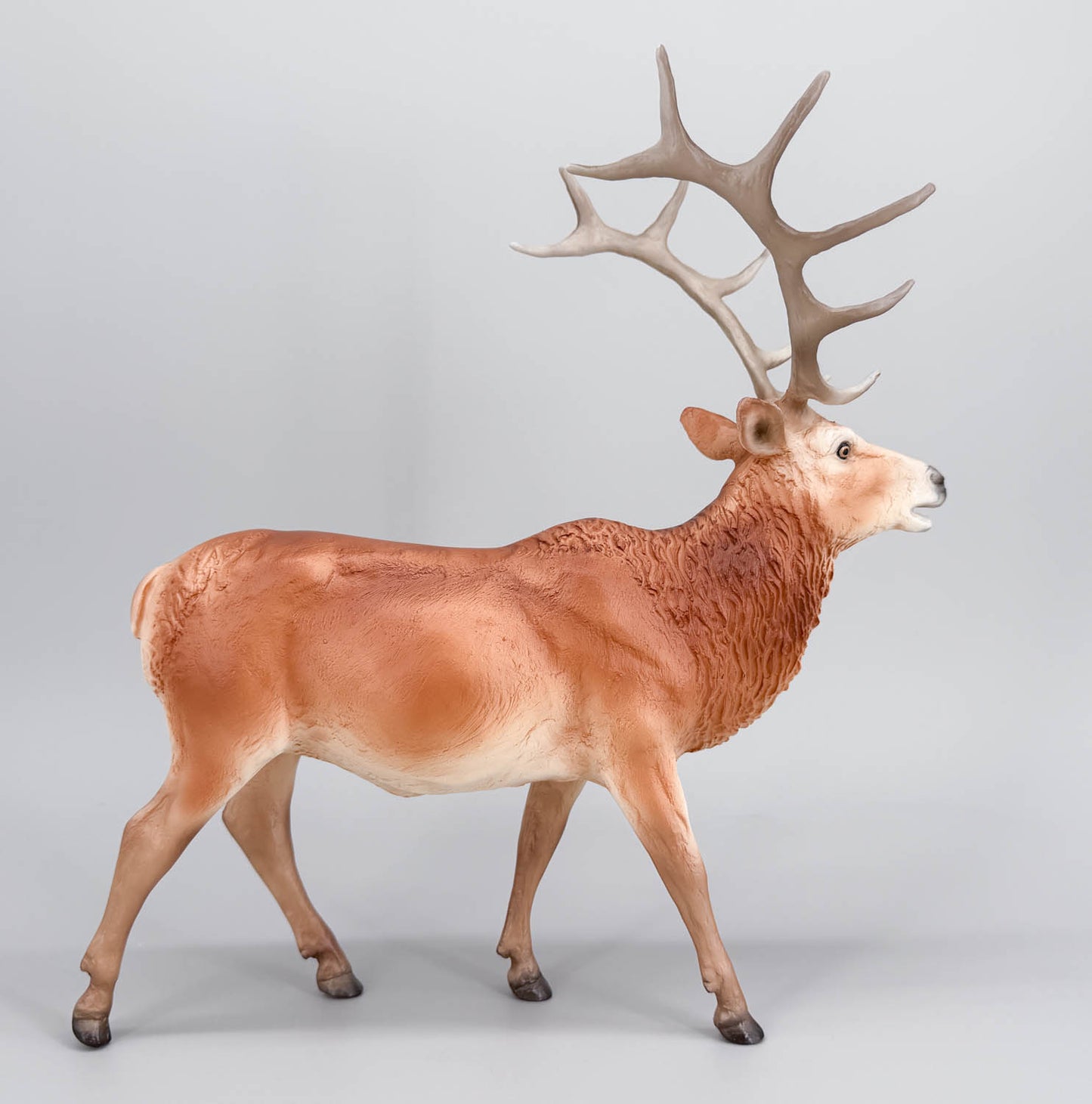 Elk ~ Hirtir - BreyerFest 2026 SR