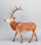 Elk ~ Hirtir - BreyerFest 2026 SR