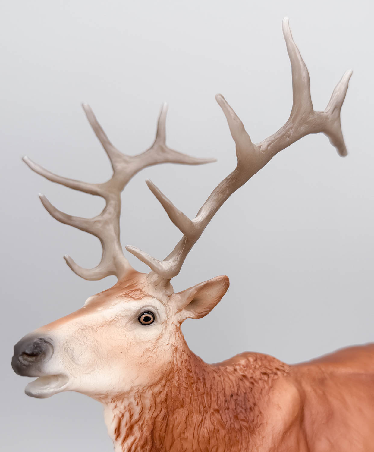 Elk ~ Hirtir - BreyerFest 2026 SR