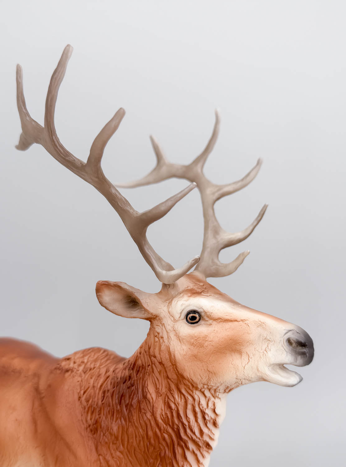 Elk ~ Hirtir - BreyerFest 2026 SR
