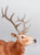 Elk ~ Hirtir - BreyerFest 2026 SR