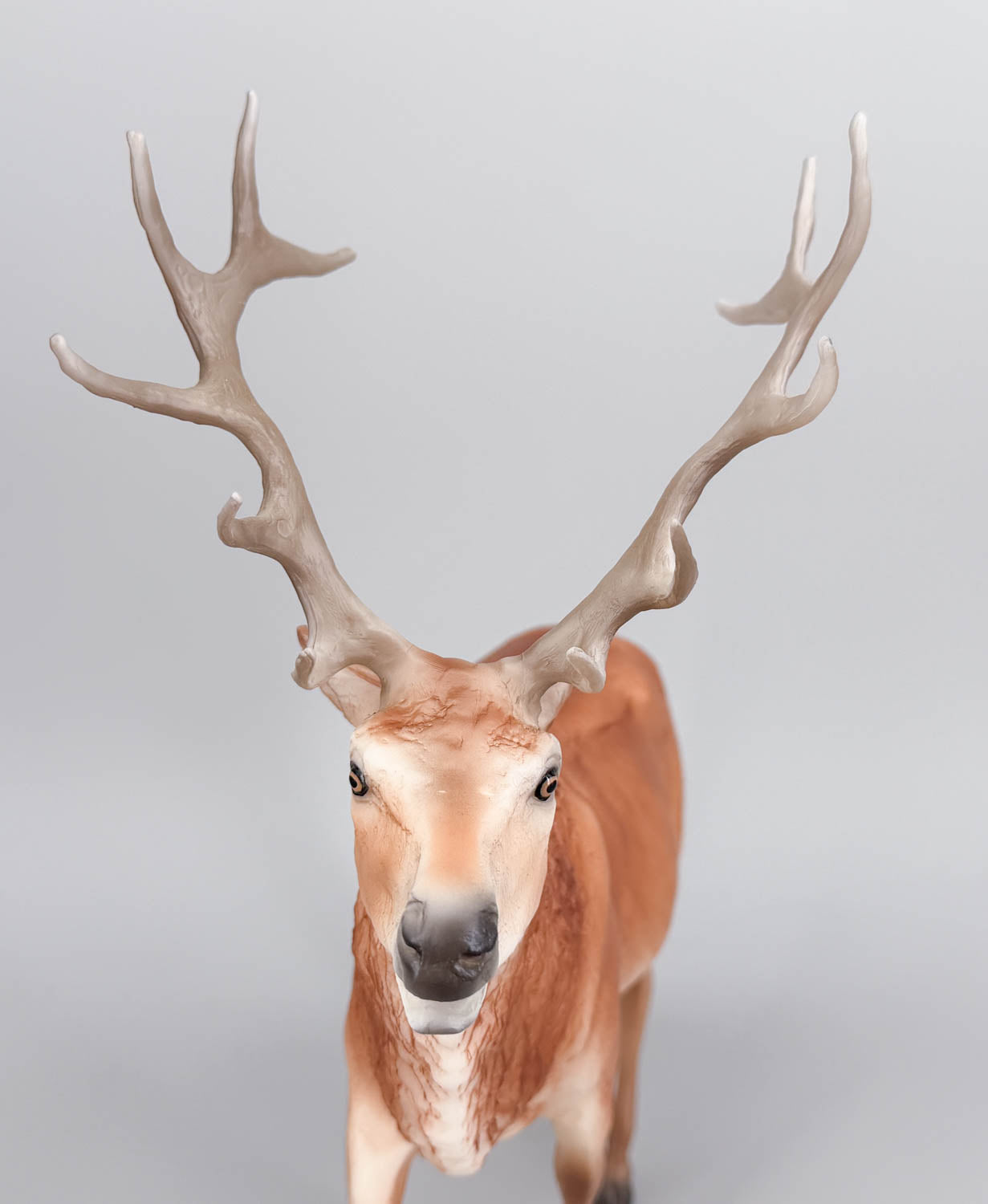 Elk ~ Hirtir - BreyerFest 2026 SR