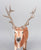 Elk ~ Hirtir - BreyerFest 2026 SR