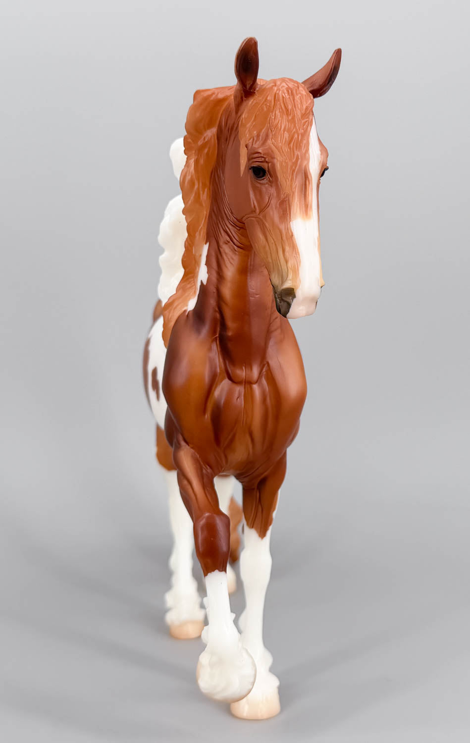 Friesian Sporthorse ~ Scandi Surprise - Chestnut Pinto - BreyerFest 2026 SR