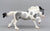 Galloping Welsh Cob ~ Uff Da - BreyerFest 2026 SR
