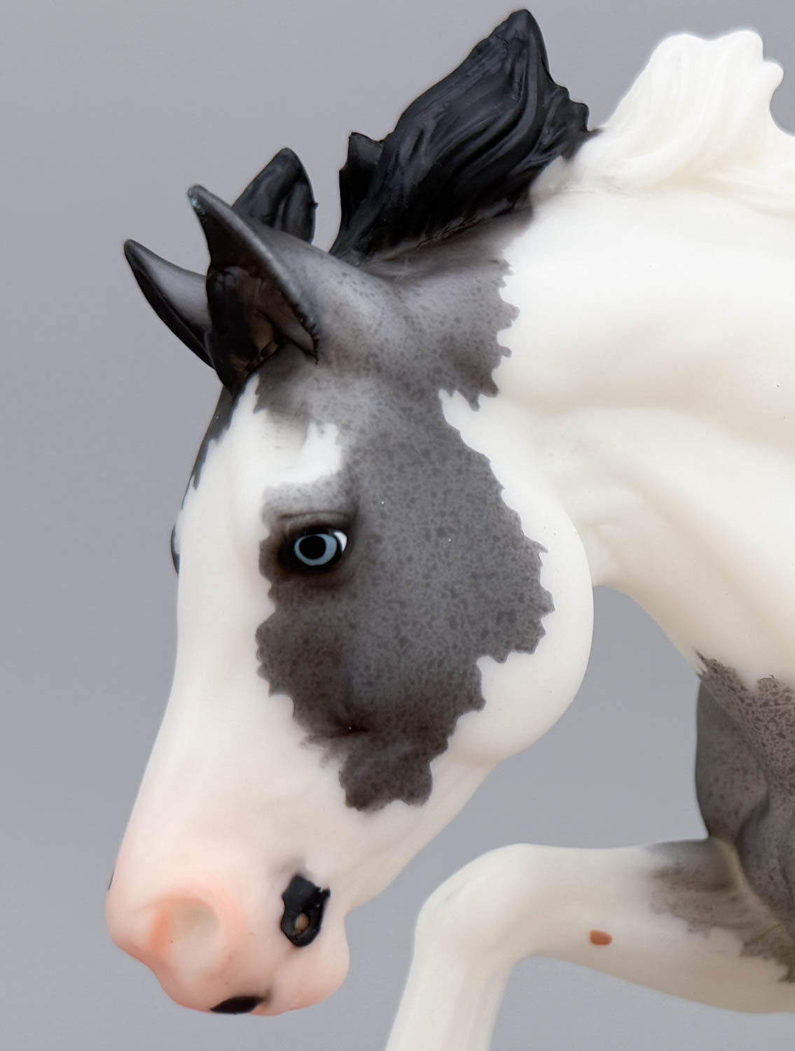 Galloping Welsh Cob ~ Uff Da - BreyerFest 2026 SR