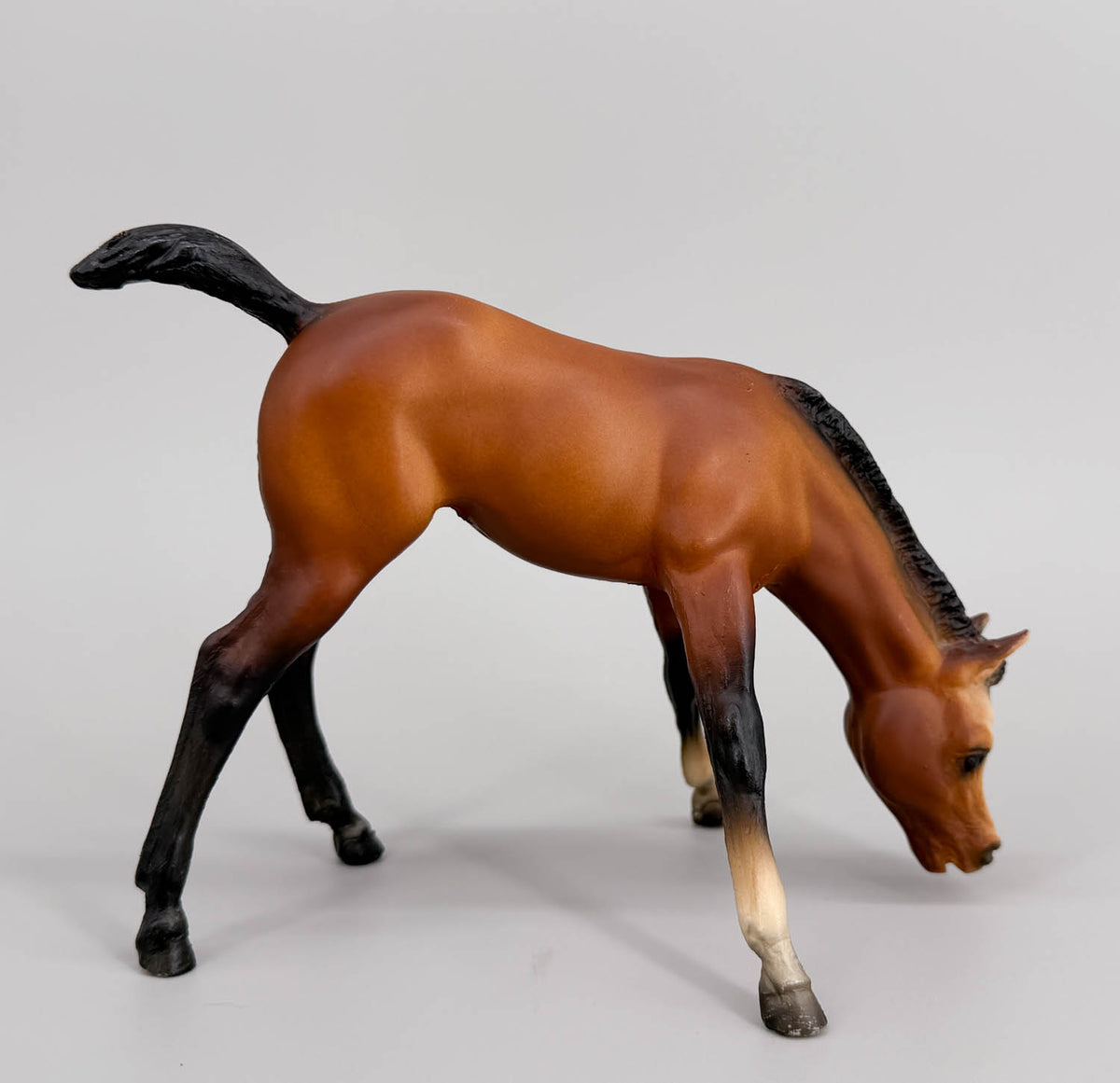 Grazing Foal ~ Bows, Bay - B-Stamp