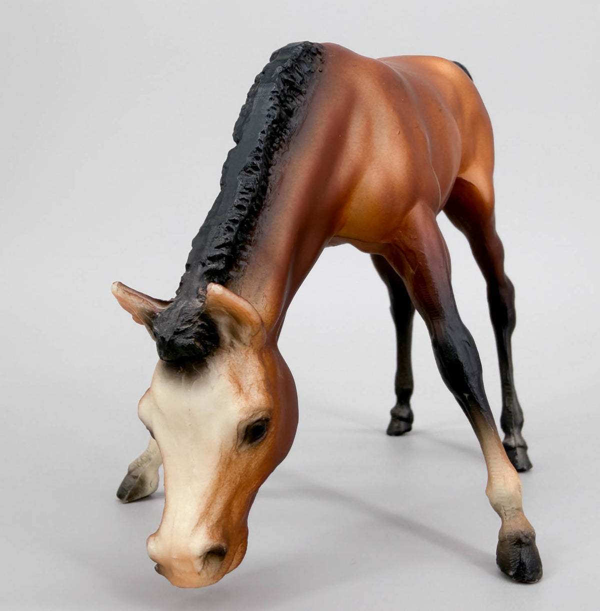 Grazing Foal ~ Bows, Bay - B-Stamp
