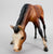 Grazing Foal ~ Bows, Bay - B-Stamp