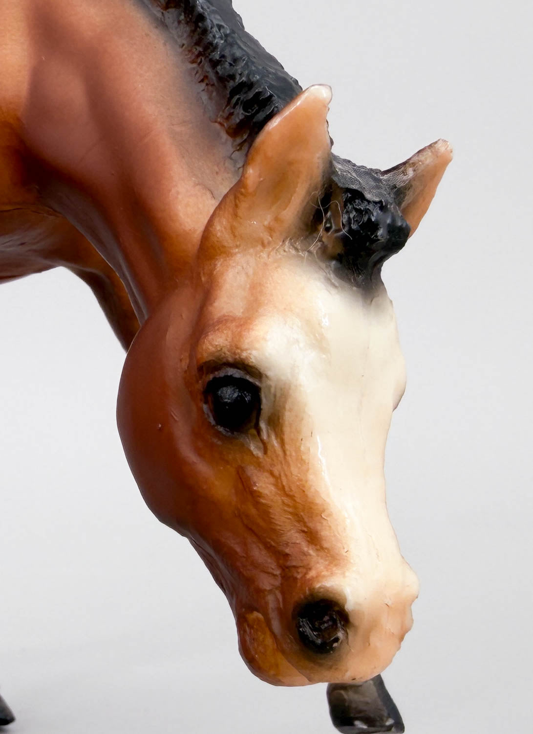 Grazing Foal ~ Bows, Bay - B-Stamp