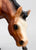 Grazing Foal ~ Bows, Bay - B-Stamp